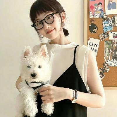 计中计状元财海报
